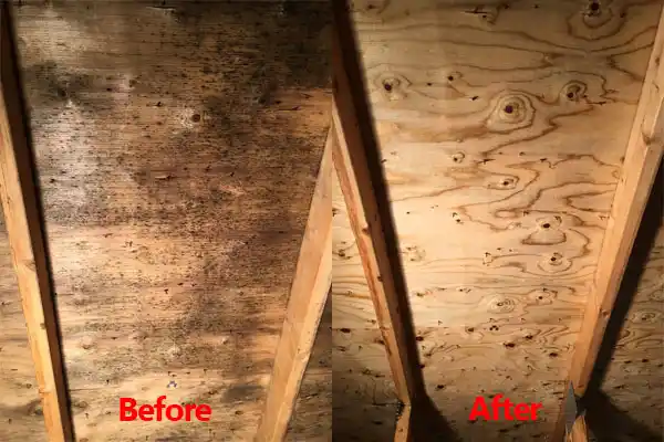 water damage restoration service Kentwood
